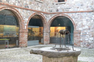 Picture of the Museum