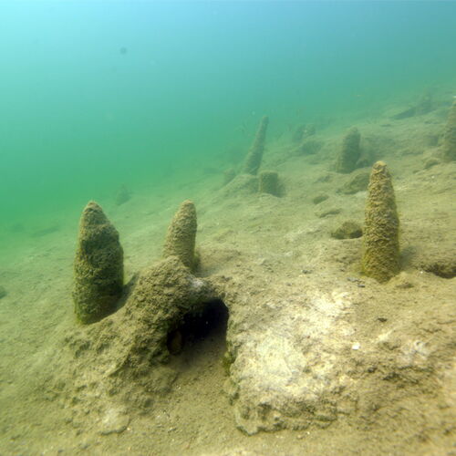 Former island in Lake Keutschach with remains of the oldest known pile dwelling settlement in Austria