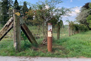 Picture of the Museum