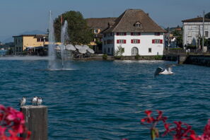 Picture of the Museum